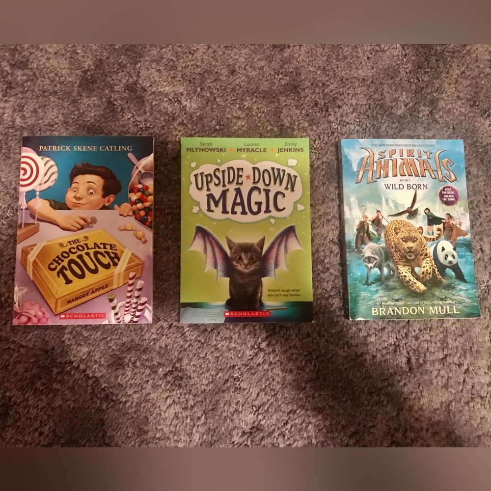 Lot of 3 Young Reader Books
